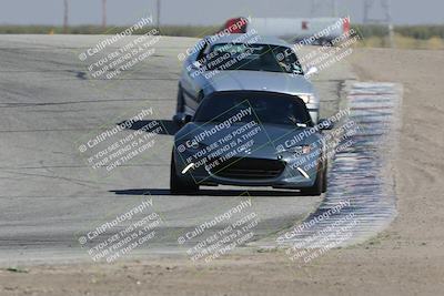 media/Oct-21-2023-Speed Ventures (Sat) [[ddf75163c5]]/Yellow/Grapevine/